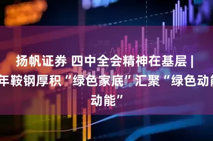 扬帆证券 四中全会精神在基层 | 百年鞍钢厚积“绿色家底”汇聚“绿色动能”