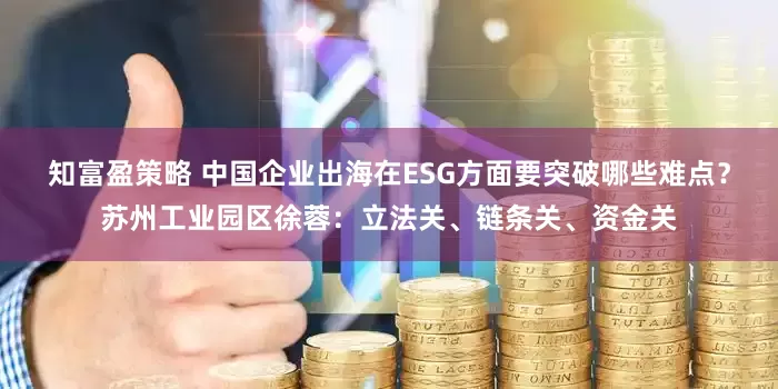 知富盈策略 中国企业出海在ESG方面要突破哪些难点？苏州工业园区徐蓉：立法关、链条关、资金关